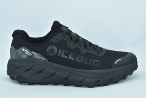 Icebug