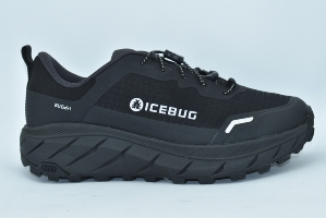 Icebug