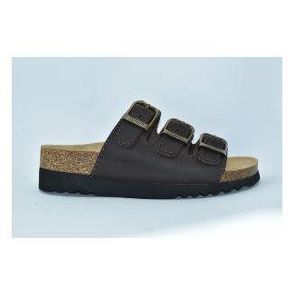 Scholl